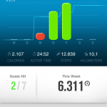 Fuelband-app-02